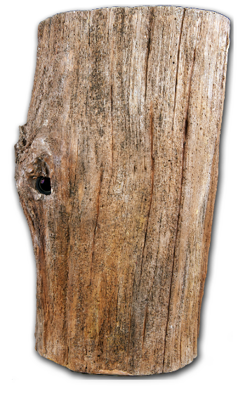 A surveillance and concealment device disguised as a hollow tree stump, shown against a black background. A camera lens is visible inside a knot hole on the side.